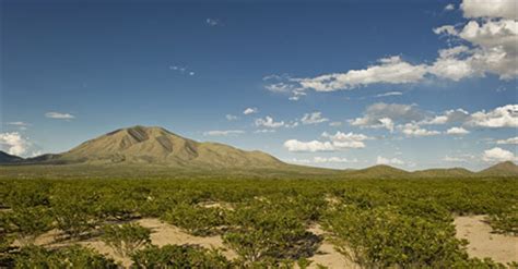 cheap flights to midland odessa.